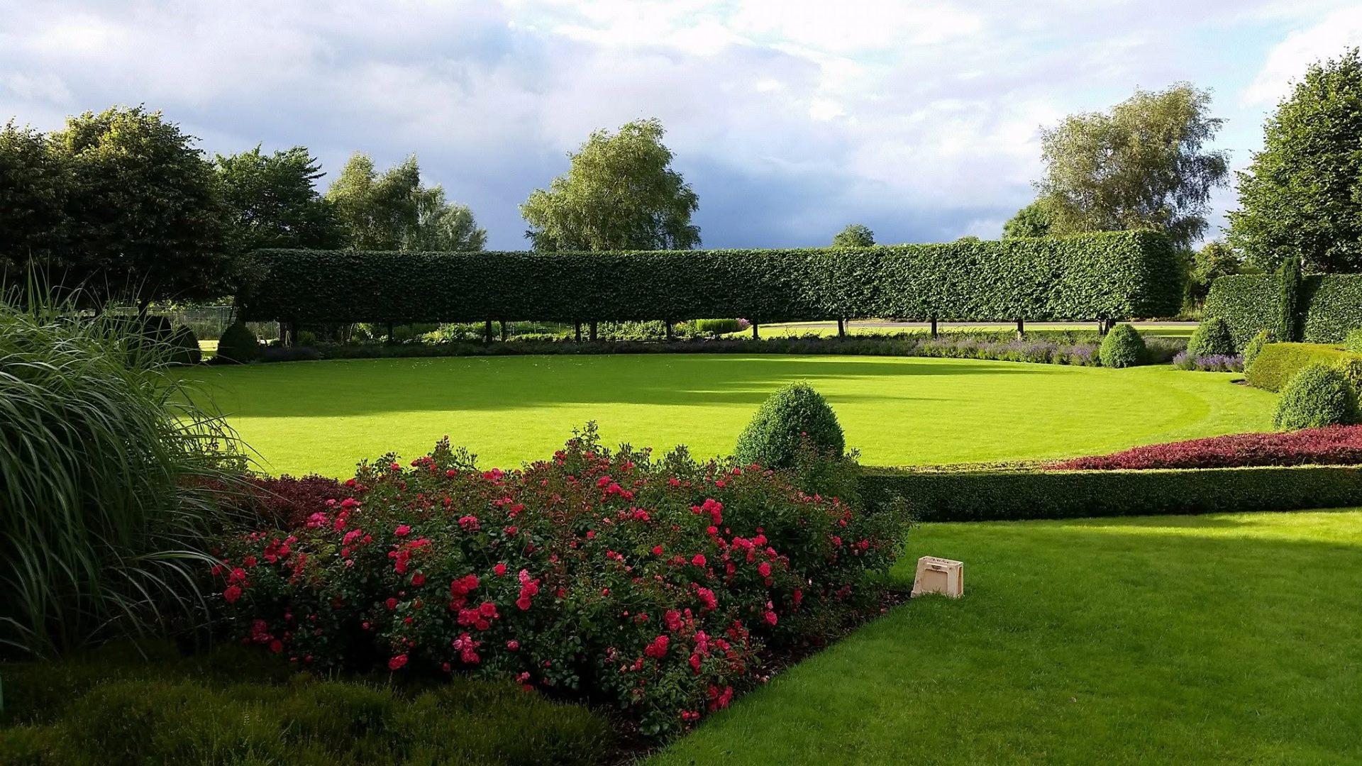 A manicured lawn with shaped hedging and planted borders by Absolute Landscaping in Co. Laois