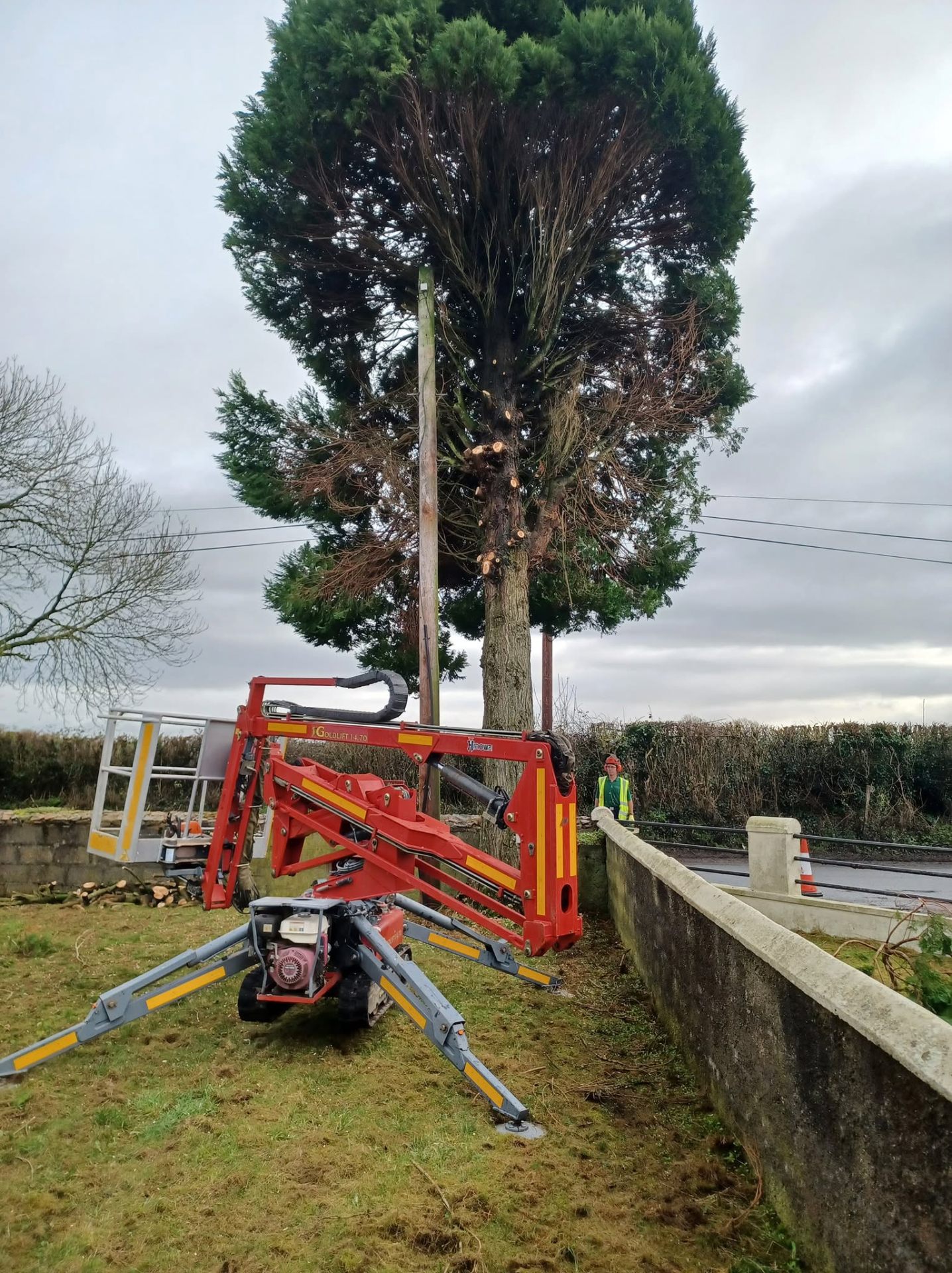 Tracked spider lift removing a large conifer beside a road in Co. Laois